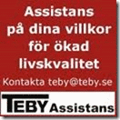 TEBY Assistans AB